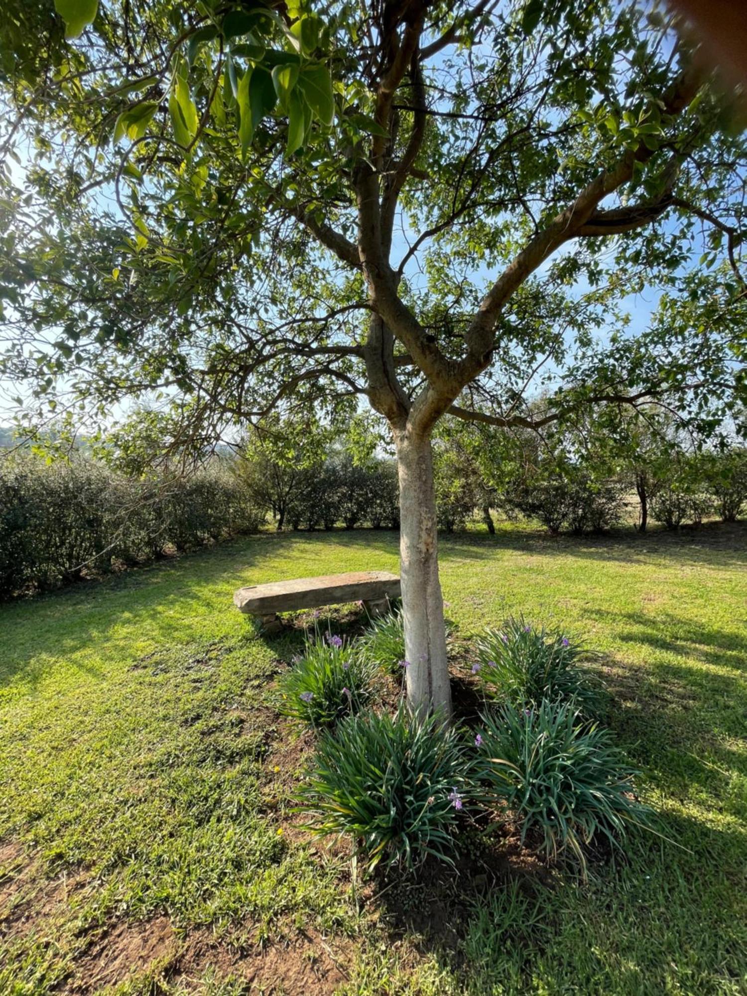 Tugela River Lodge Winterton Εξωτερικό φωτογραφία
